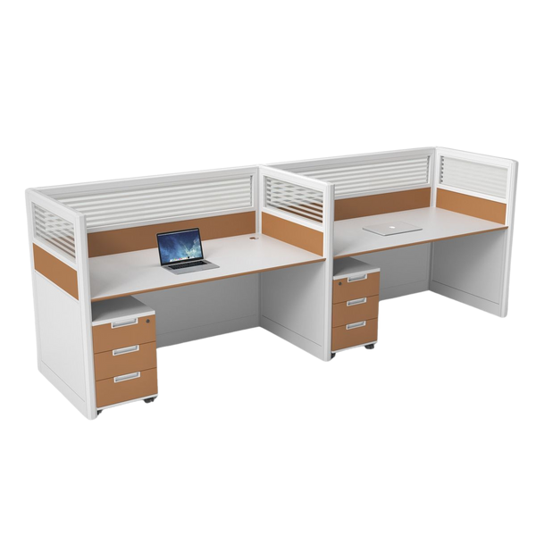 A WORKSTATION FOR TWO INDIVIDUALS WITH SINGLE-SIDED DESKS.